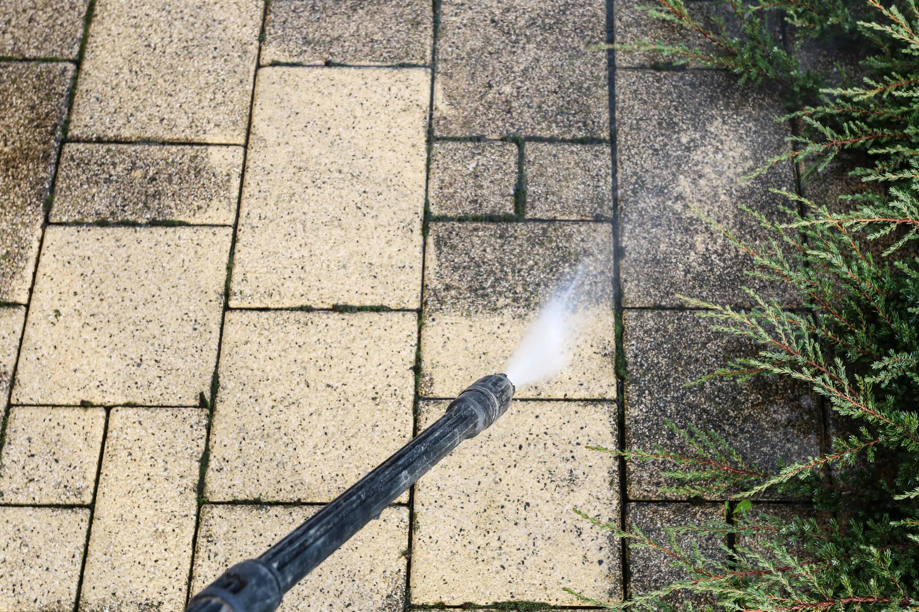 Paver Cleaning image