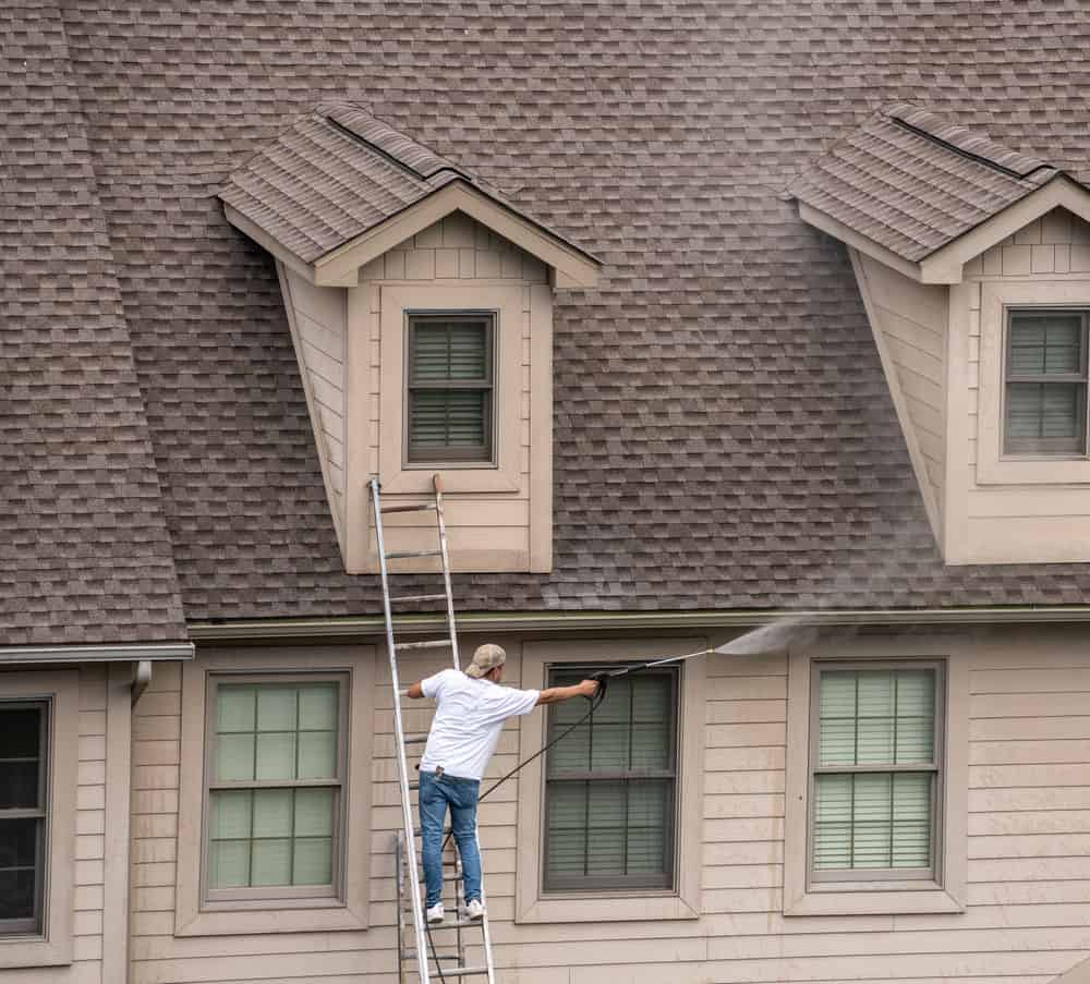 Roof Cleaning image