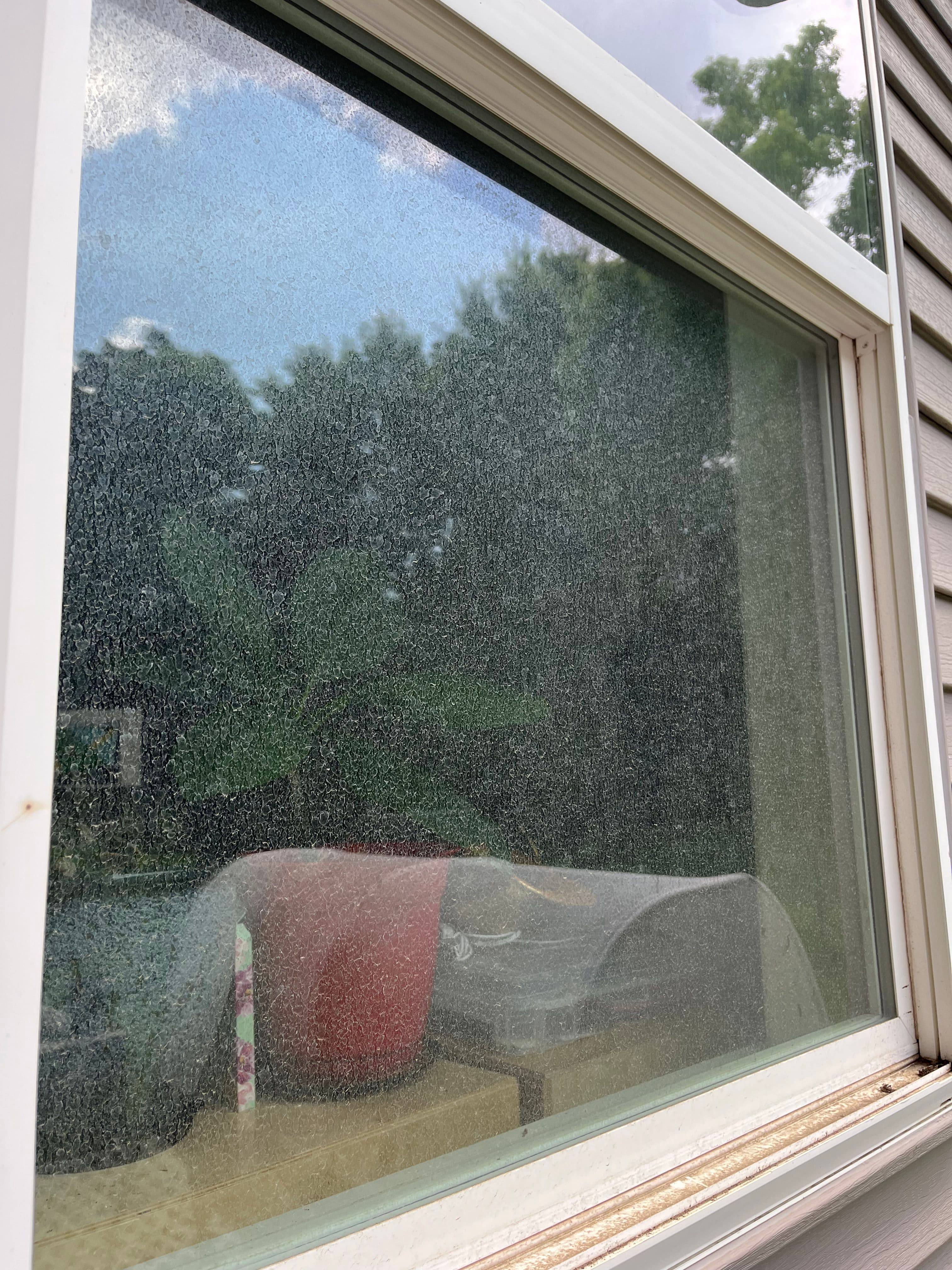 Dirty window reflecting greenery and outdoor objects, capturing a cloudy sky.