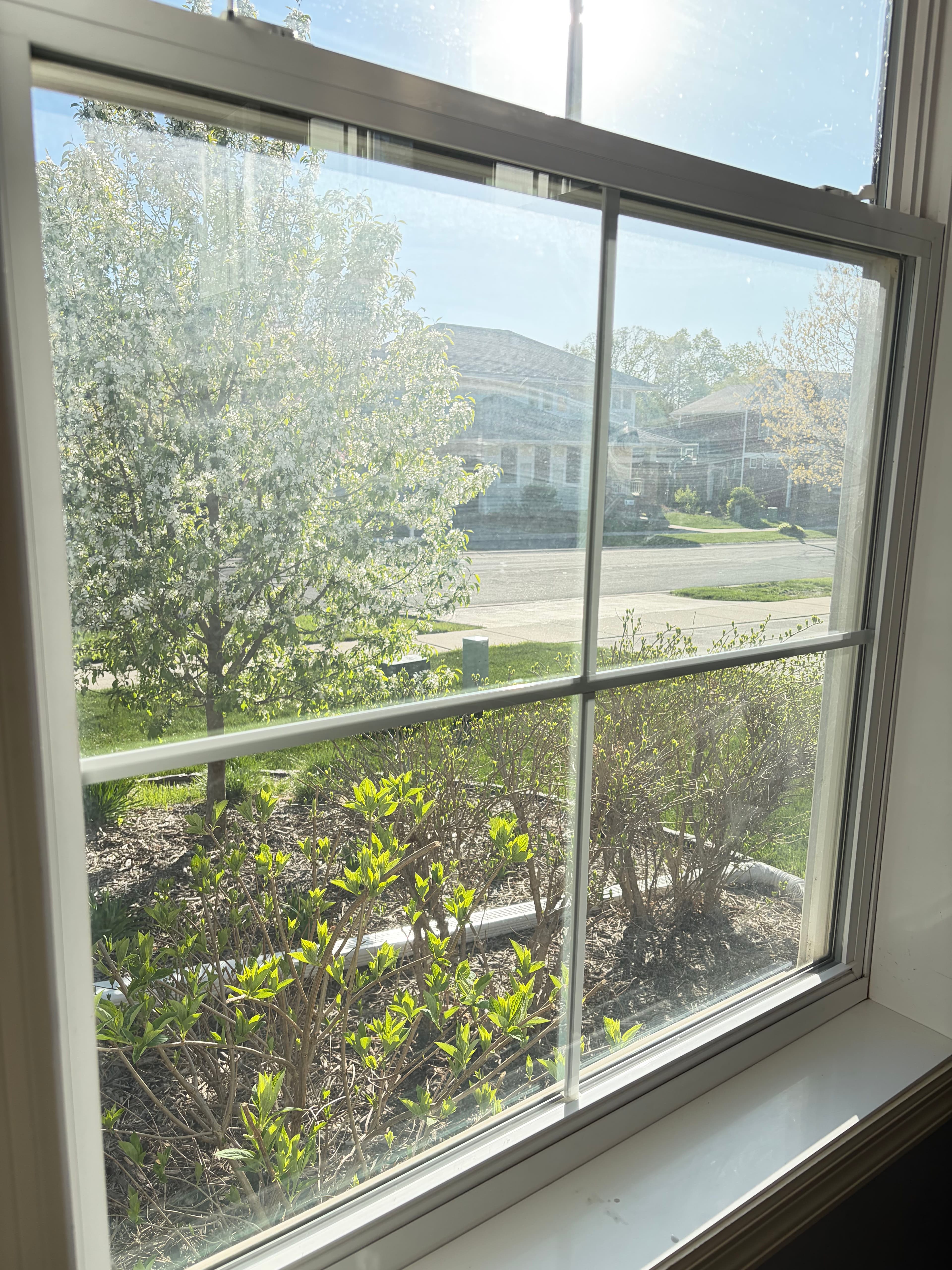 Project Full Interior and Exterior Window Cleaning Done Right image