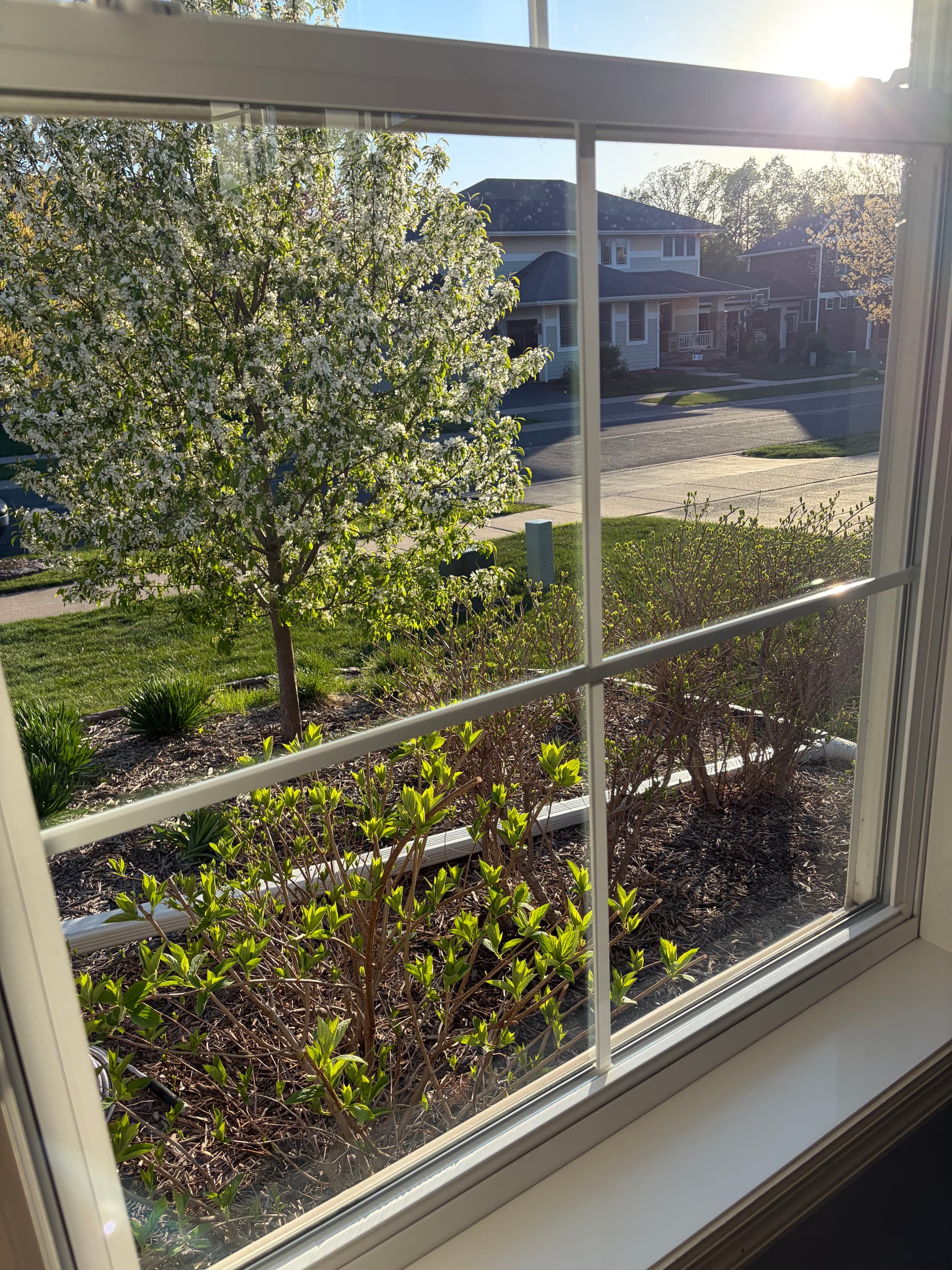 Gallery photos for Full Interior and Exterior Window Cleaning Done Right: Image #1